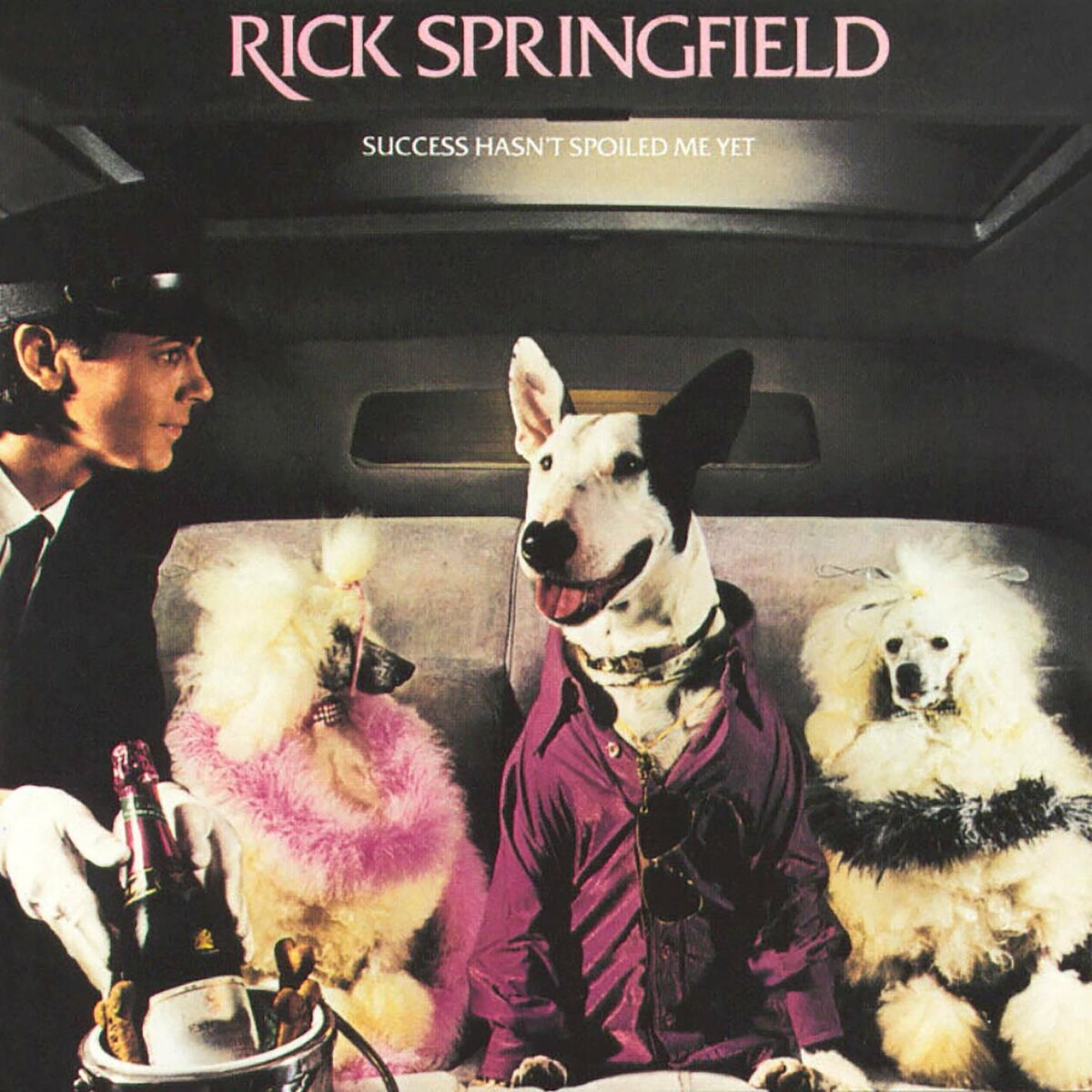 Rick Springfield